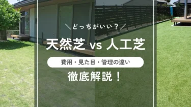 天然芝 vs 人工芝、どっちがいい？費用・見た目・管理の違いを徹底比較